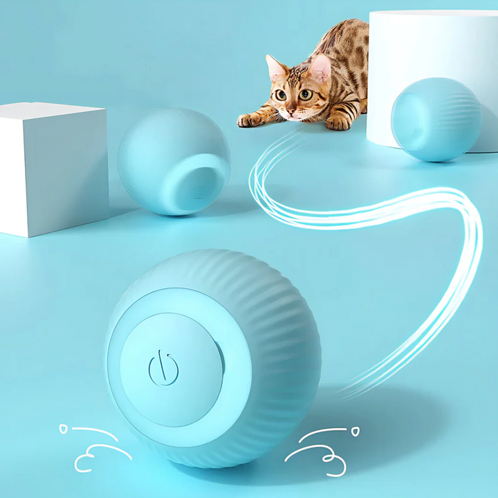 Purrfect Playball - Das interaktive Katzenspielzeug